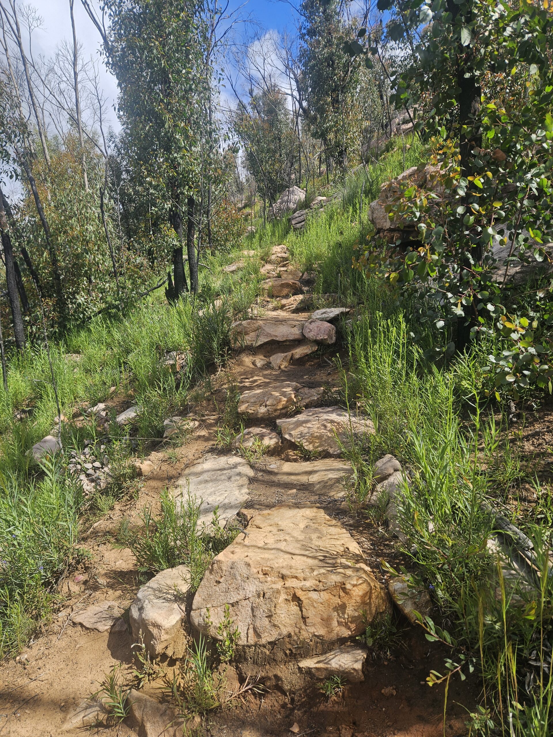 Tunnel Walk – Mt William range